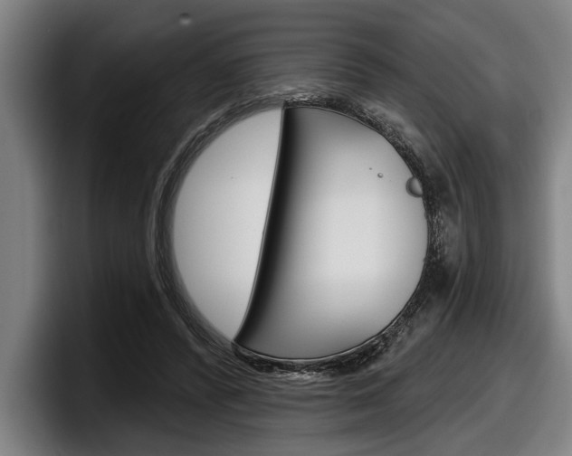 X0000098150400200804171201