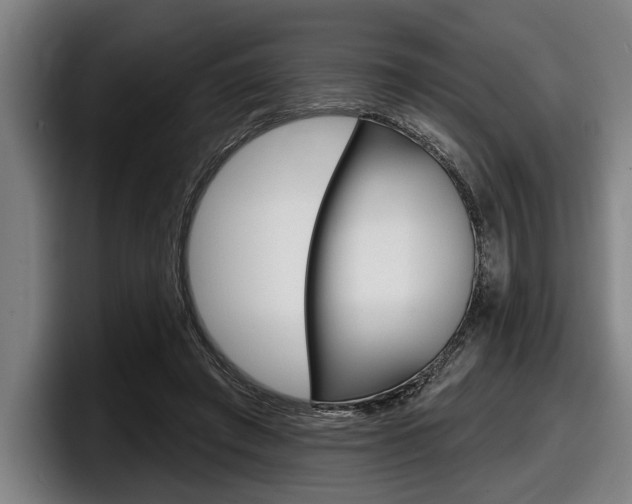 X0000098150401200804171201
