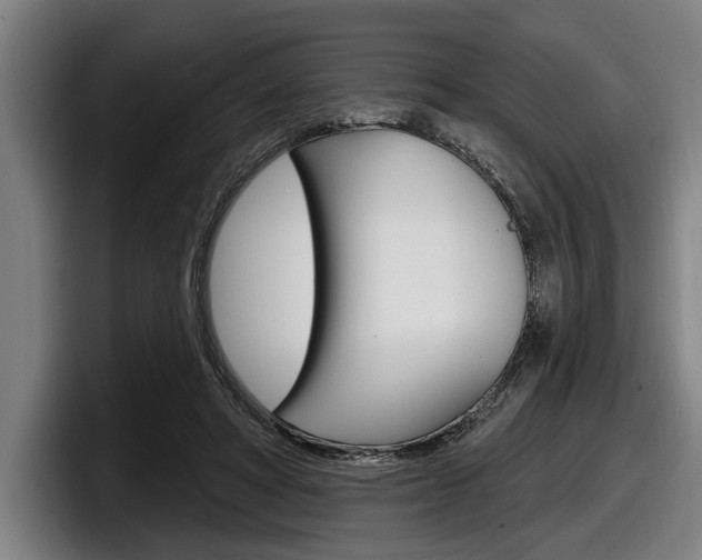 X0000098150402200804171201