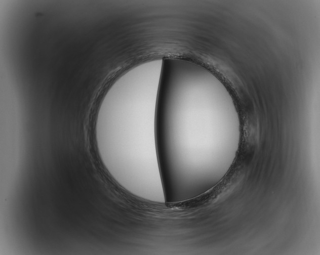 X0000098150403200804171201