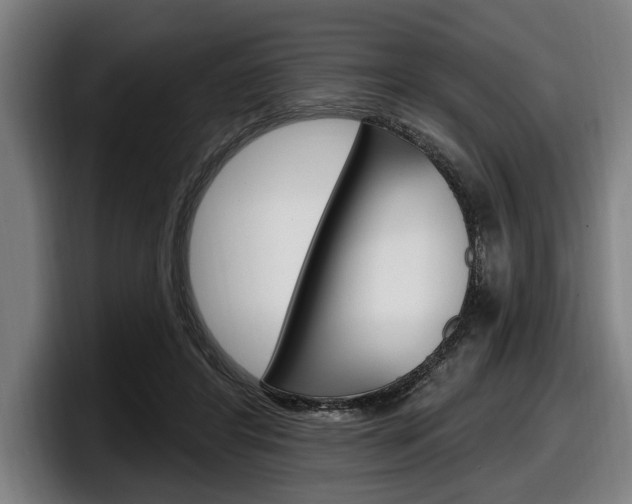 X0000098150404200804171201