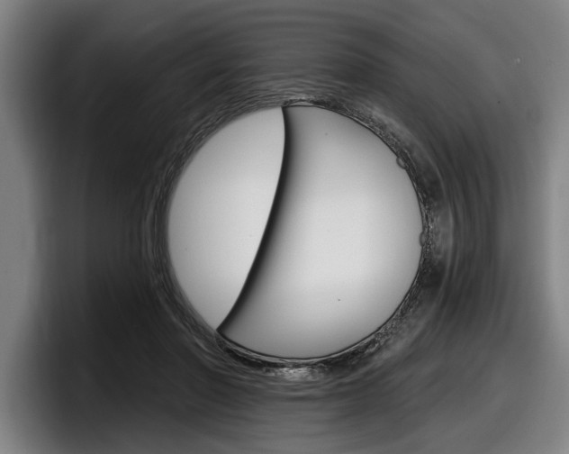 X0000098150406200804171201