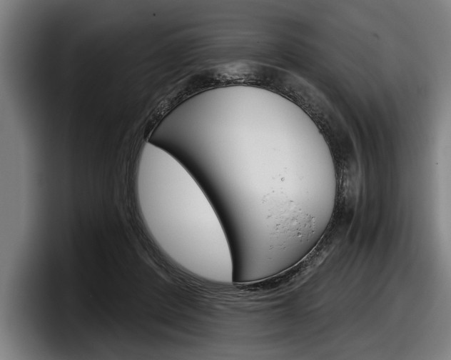 X0000098150408200804171201