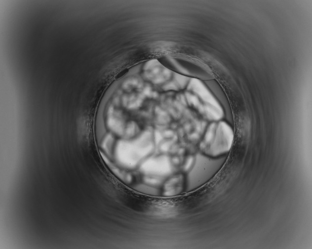 X0000098150409200804171201
