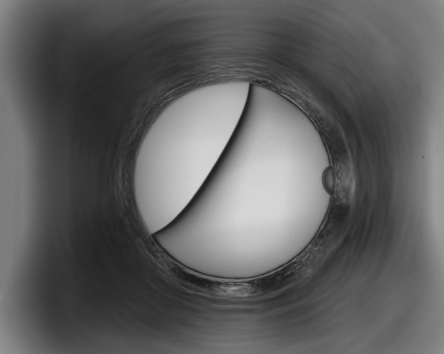 X0000098150410200804171201