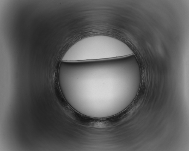 X0000098150412200804171201