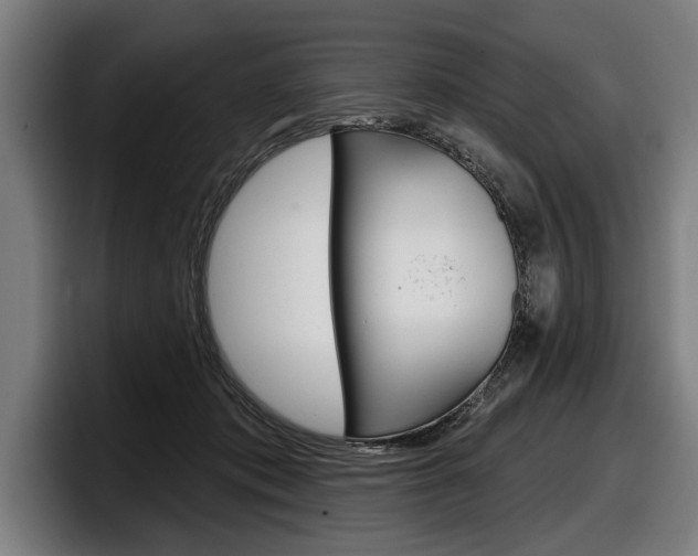 X0000098150413200804171201