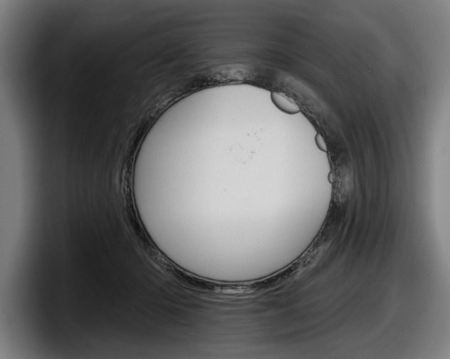 X0000098150414200804171201