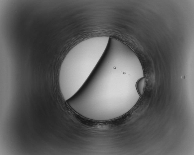 X0000098150416200804171200