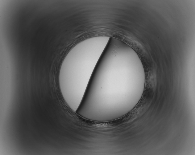 X0000098150417200804171200