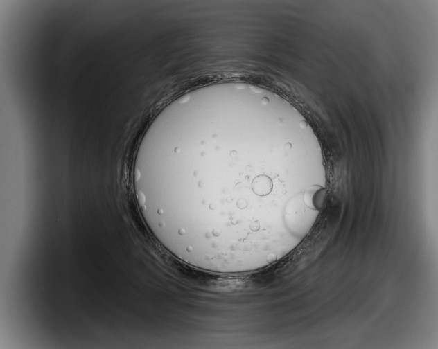X0000098150418200804171200