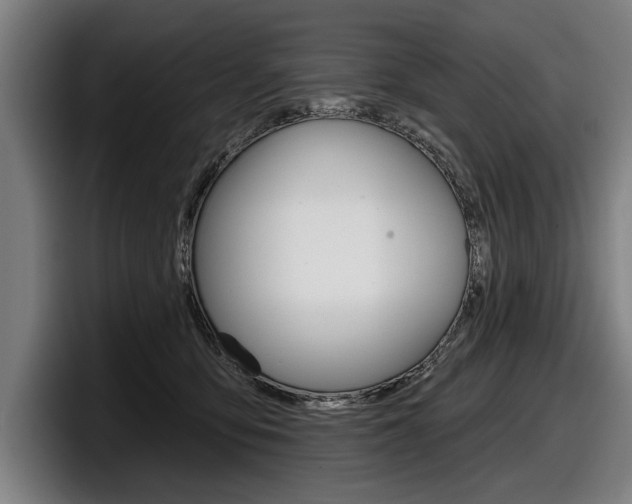 X0000098150419200804171200