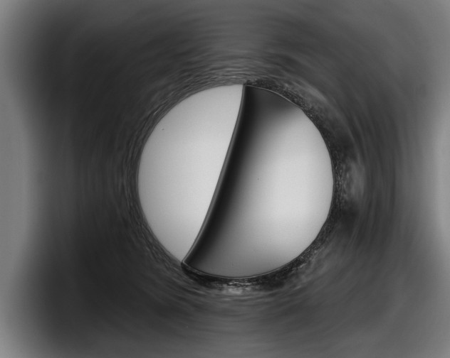 X0000098150420200804171200