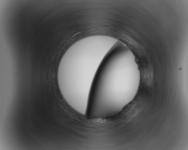 X0000098150421200804171200