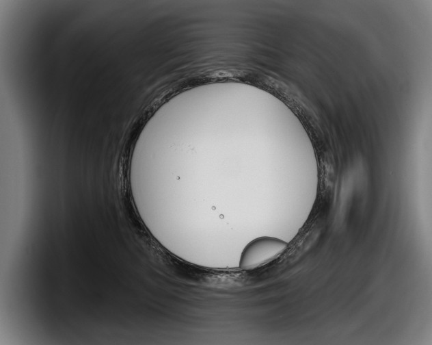 X0000098150422200804171200