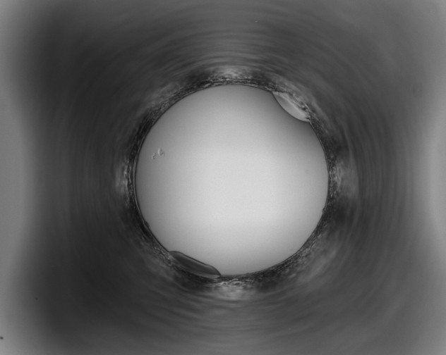 X0000098150423200804171200