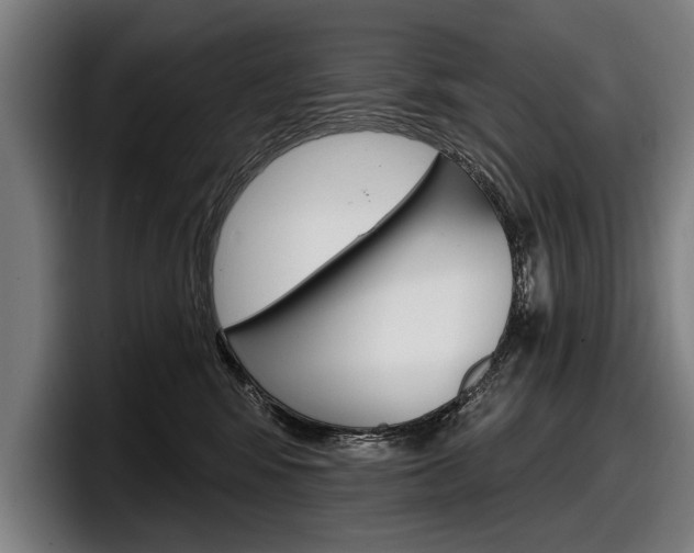 X0000098150424200804171200