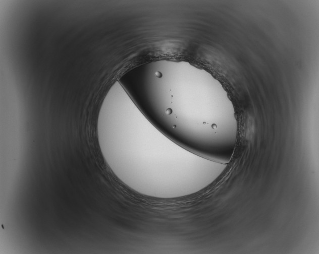 X0000098150425200804171200