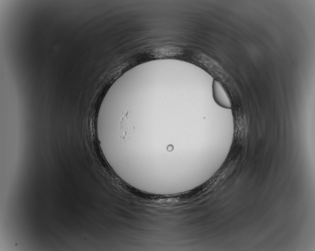 X0000098150426200804171200