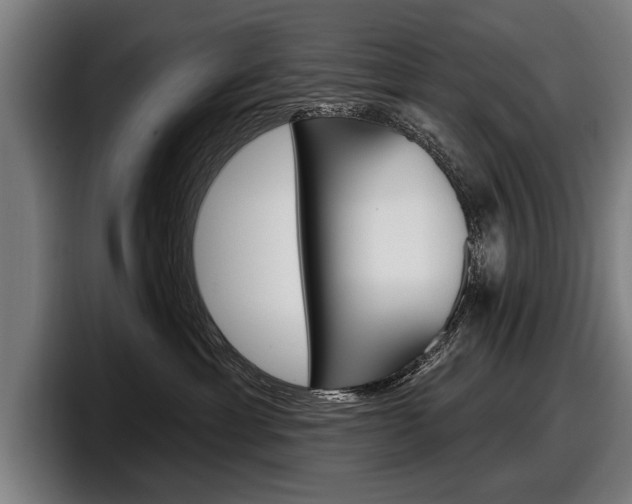X0000098150429200804171200