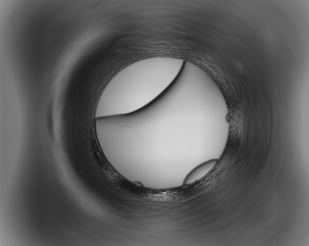 X0000098150430200804171200