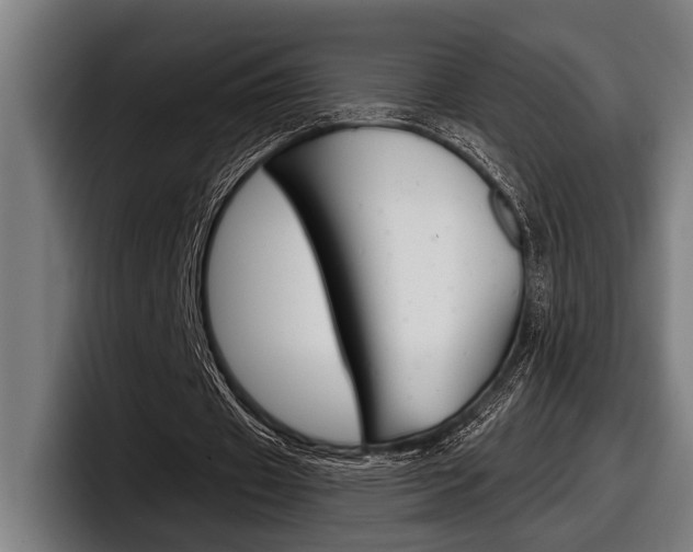 X0000098150433200804171200
