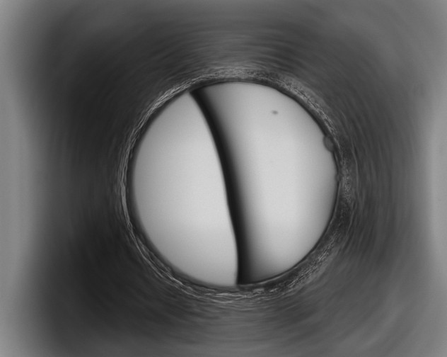 X0000098150434200804171200