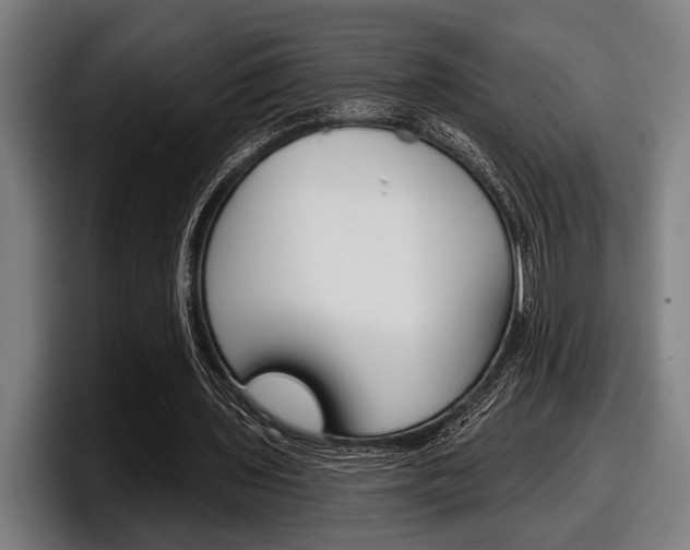 X0000098150435200804171200