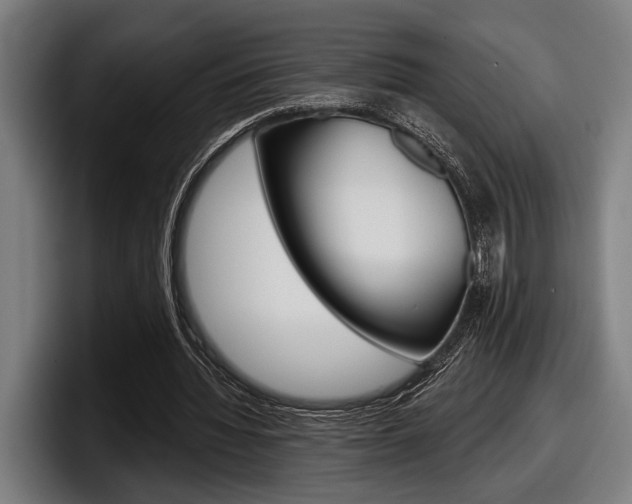 X0000098150436200804171200