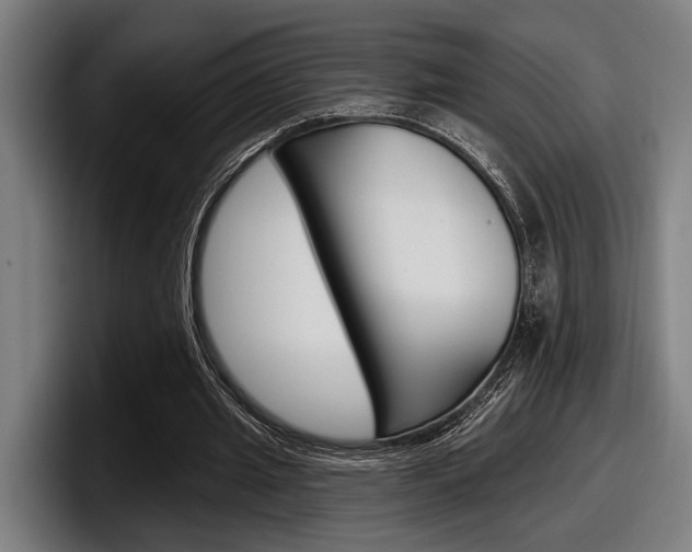X0000098150437200804171200