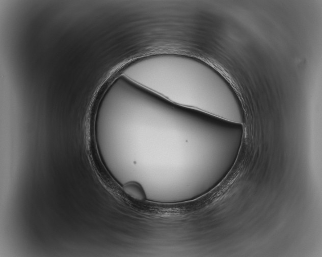 X0000098150438200804171200