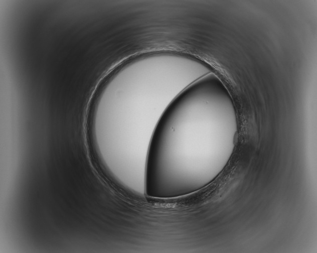 X0000098150440200804171200