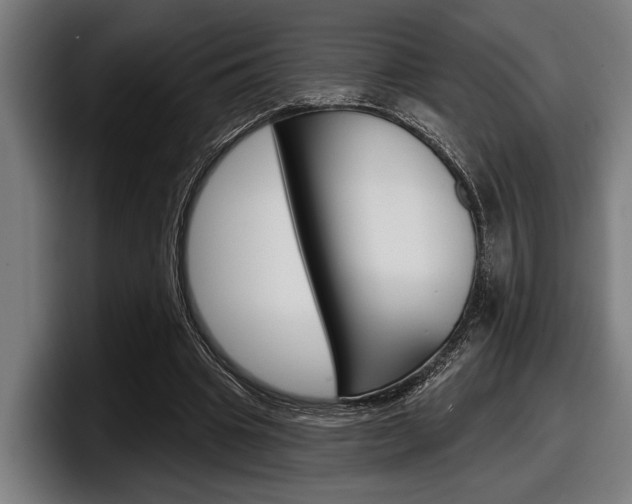 X0000098150441200804171200