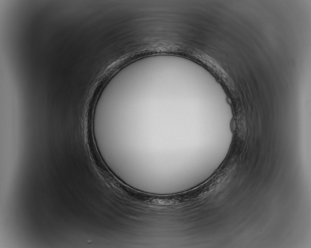 X0000098150442200804171200