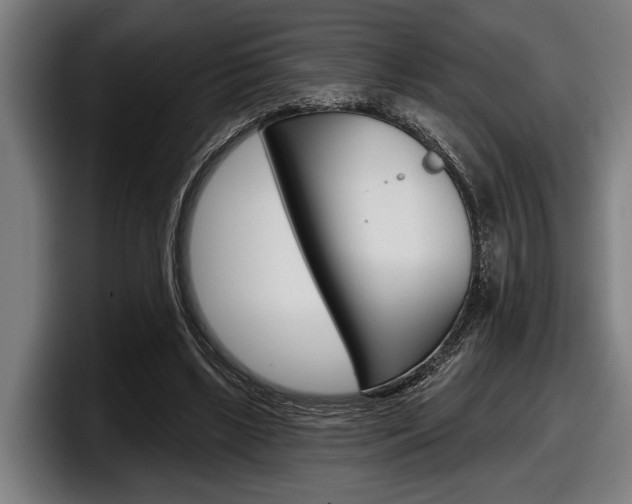 X0000098150443200804171200