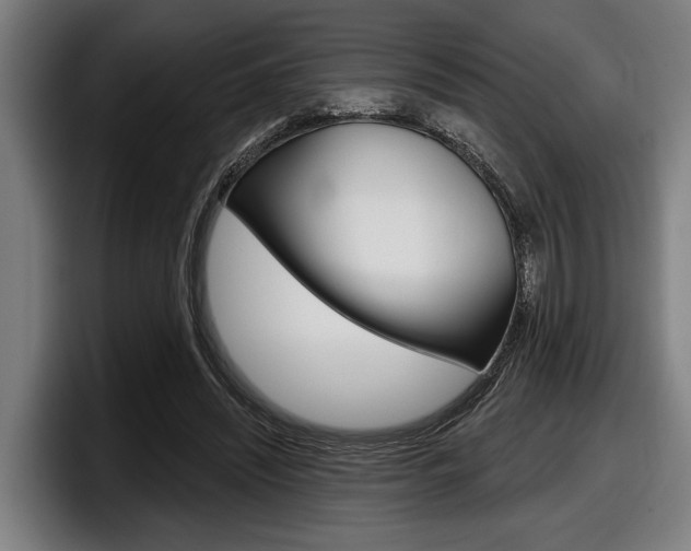 X0000098150444200804171200