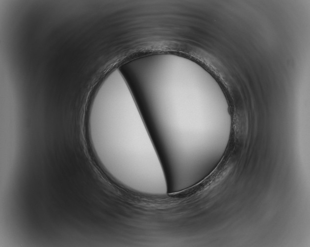 X0000098150445200804171200