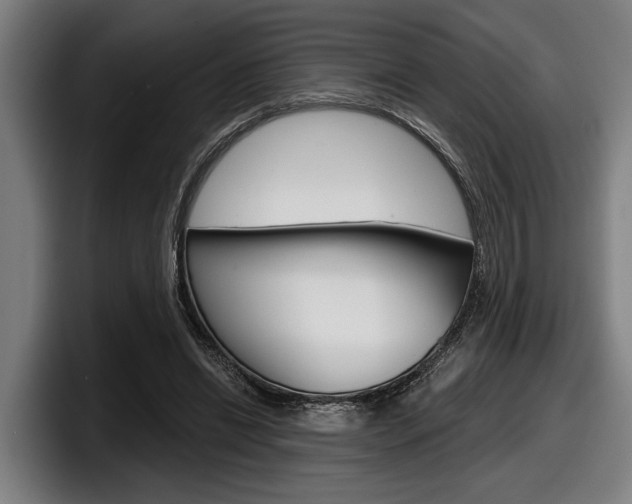 X0000098150446200804171200