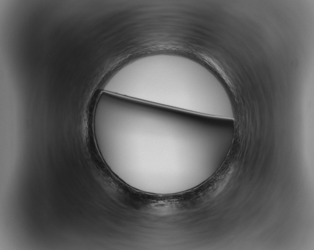 X0000098150447200804171200