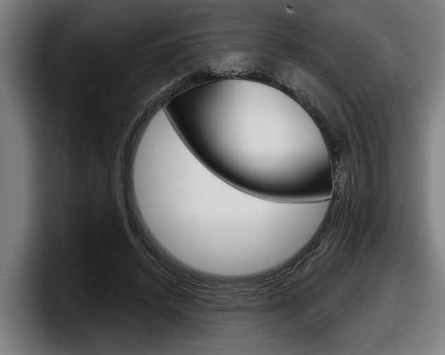 X0000098150448200804171200