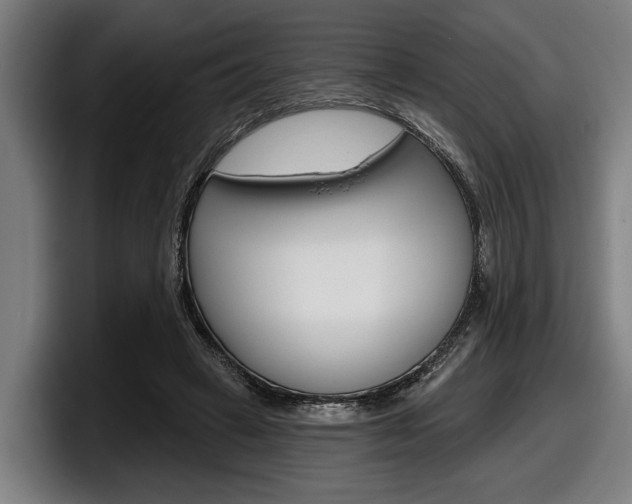 X0000098150449200804171200