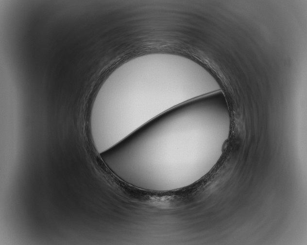 X0000098150450200804171200