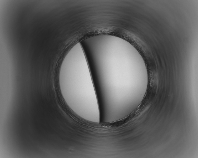 X0000098150451200804171200