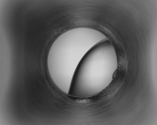 X0000098150452200804171200