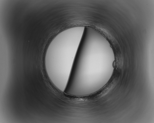 X0000098150453200804171200