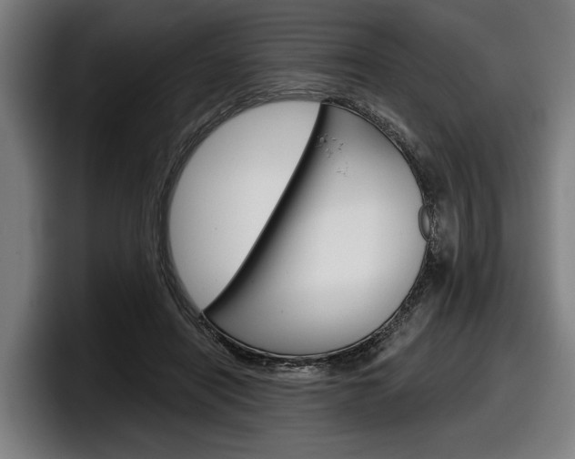 X0000098150454200804171200