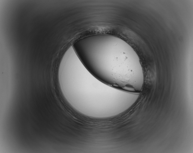 X0000098150456200804171200