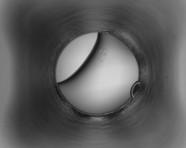 X0000098150457200804171200