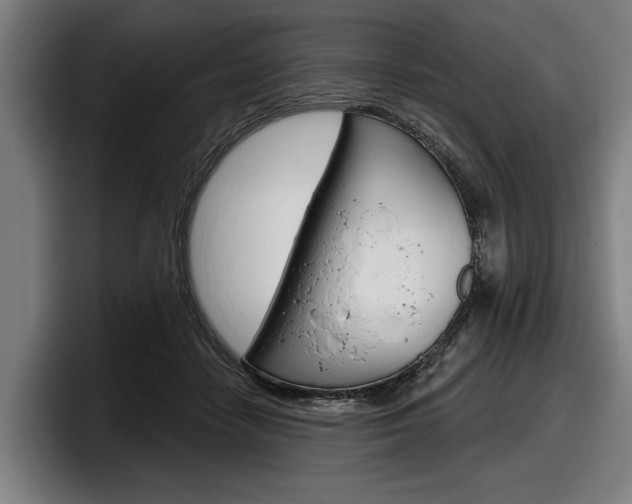 X0000098150458200804171200