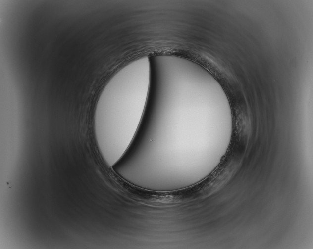 X0000098150459200804171200